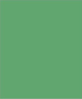 Wildness Mint - Beauti-Tone Colour