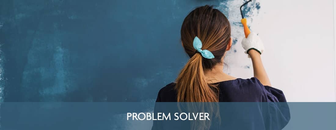 Exterior Paint Problem Solver