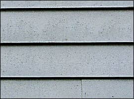 Mildew Paint Problem
