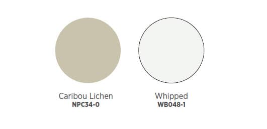 Paint Colours