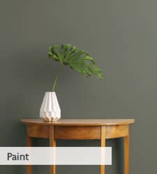 paint