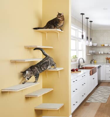 cat tree