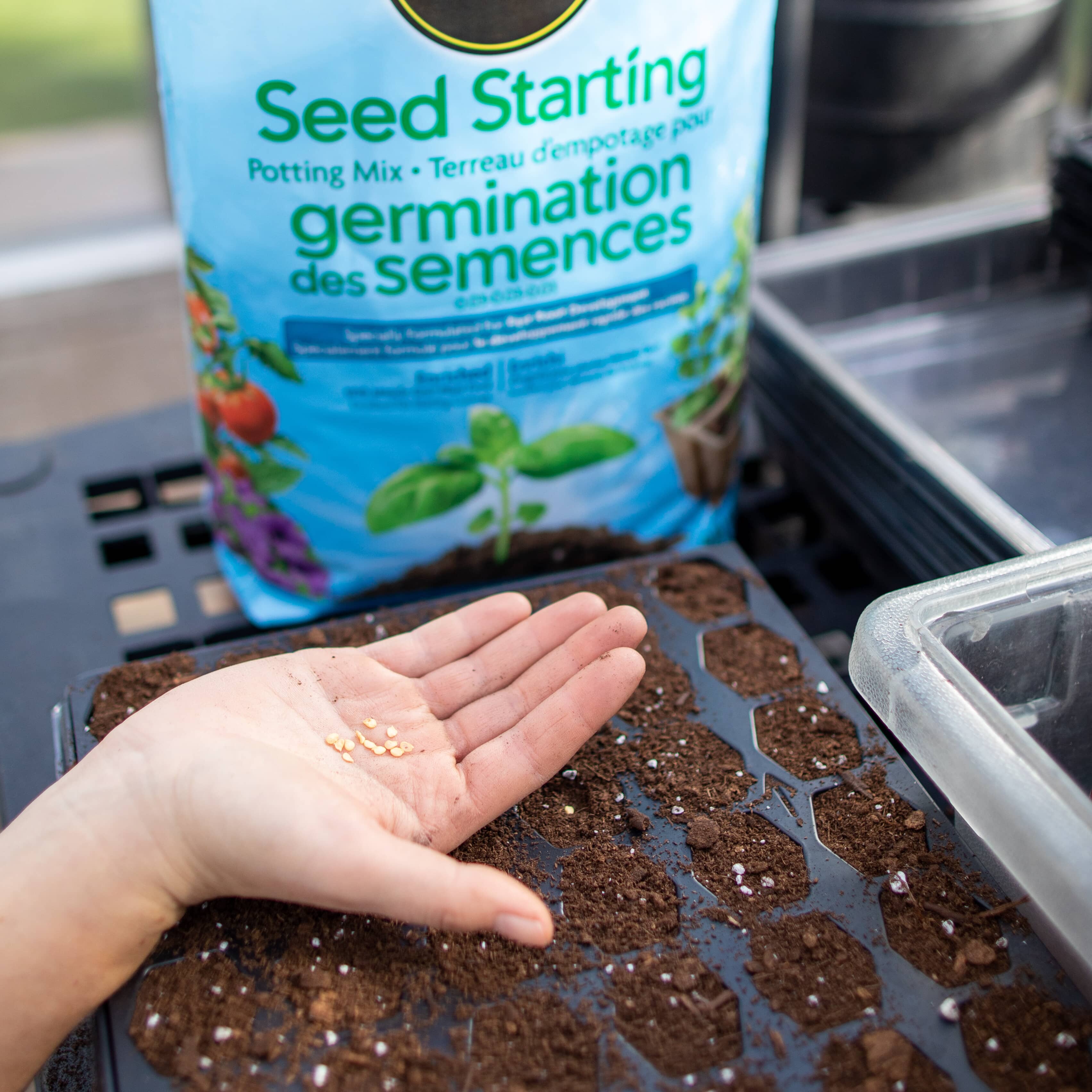 Herbs need the right foundation