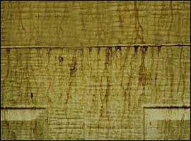 surfactant leaching