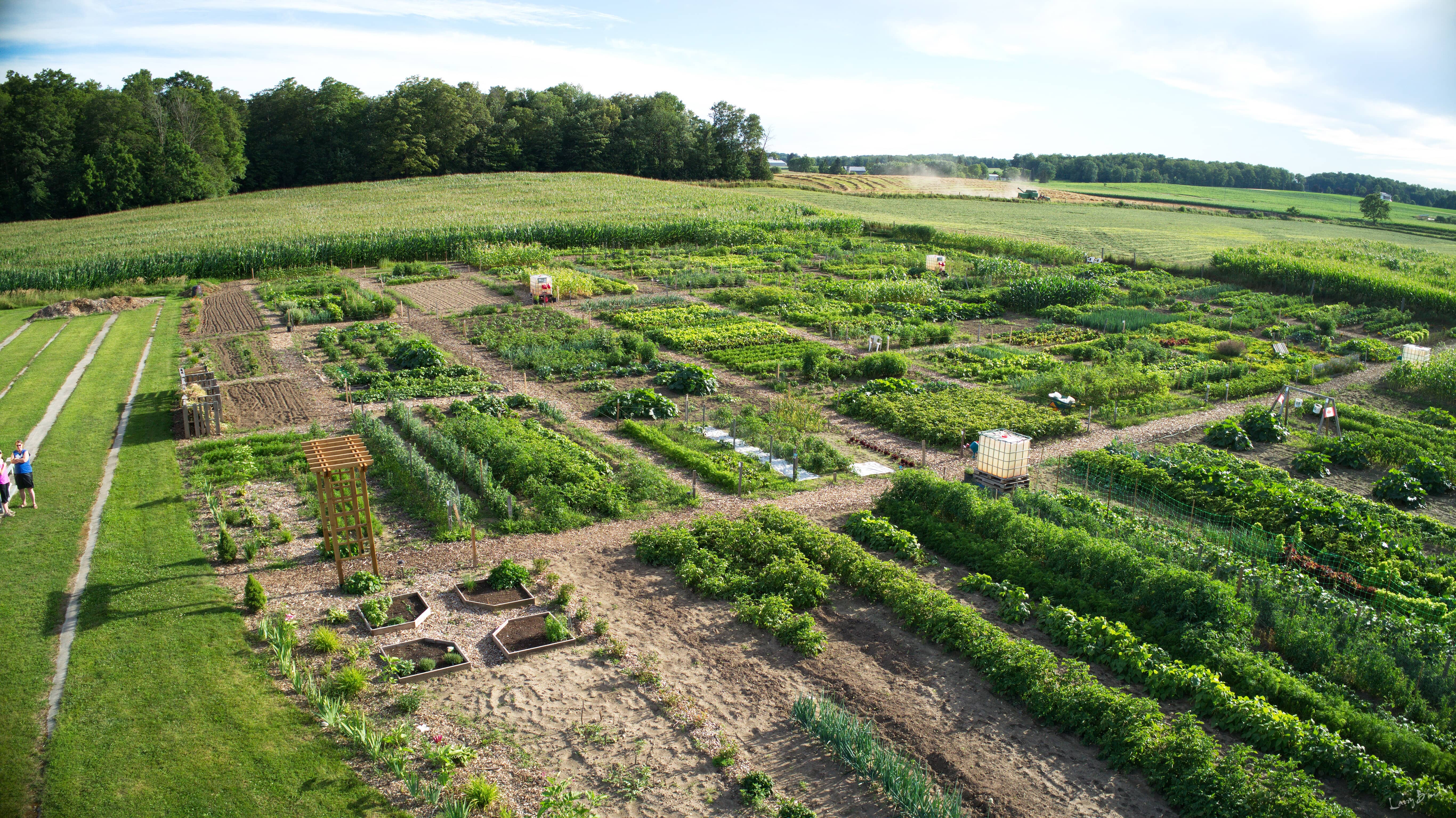 HH Community Garden 1