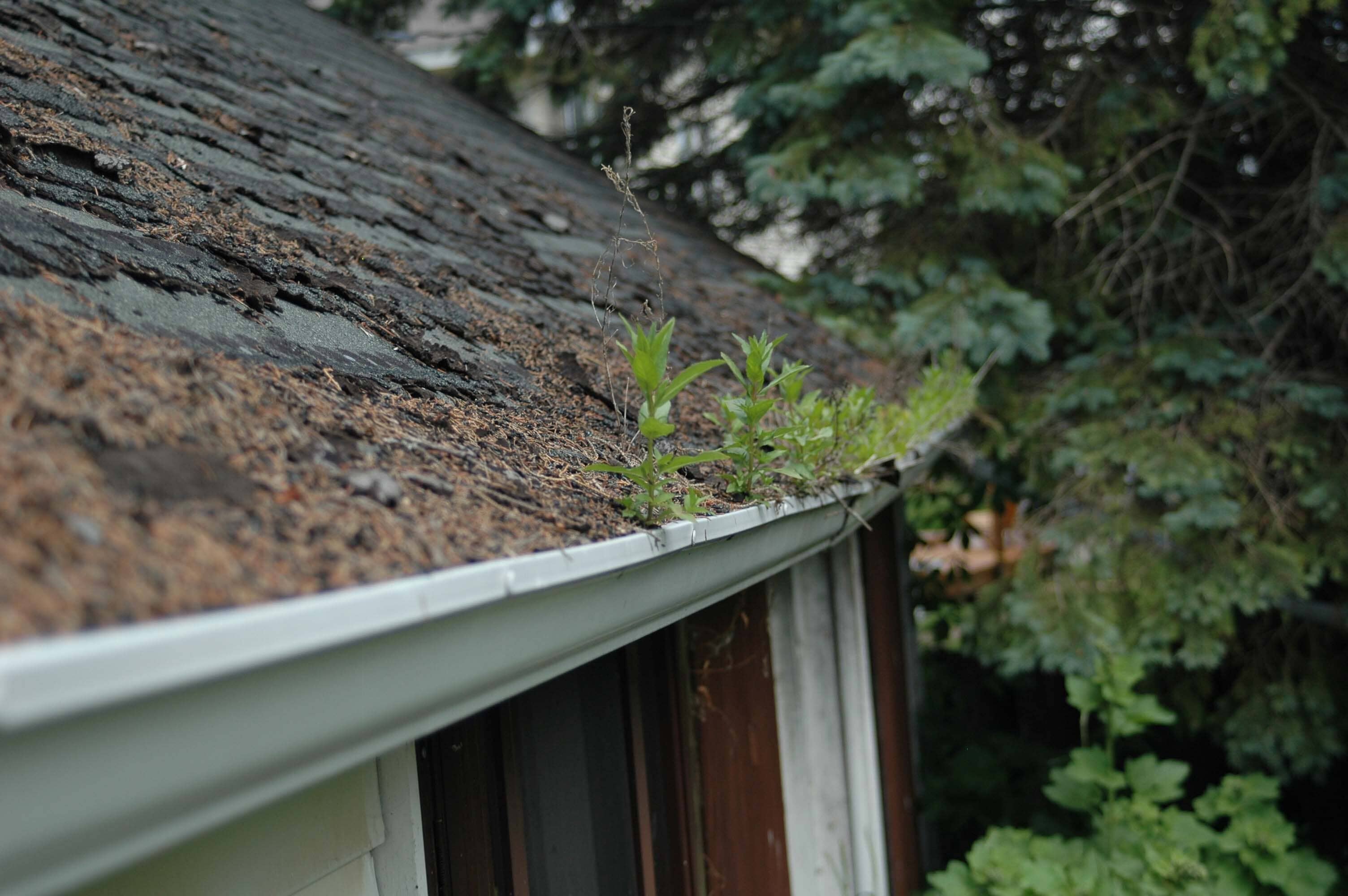 Eavestrough Protection