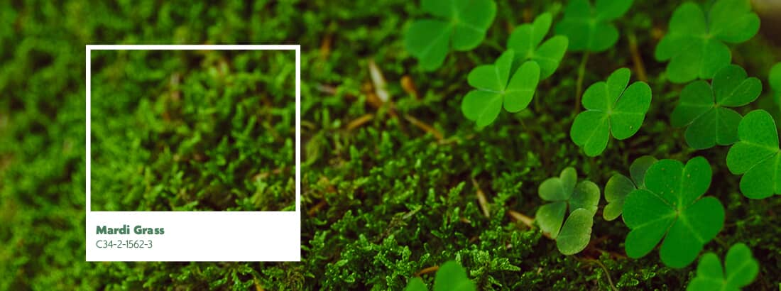March Colour of the Month - Beauti-Tone