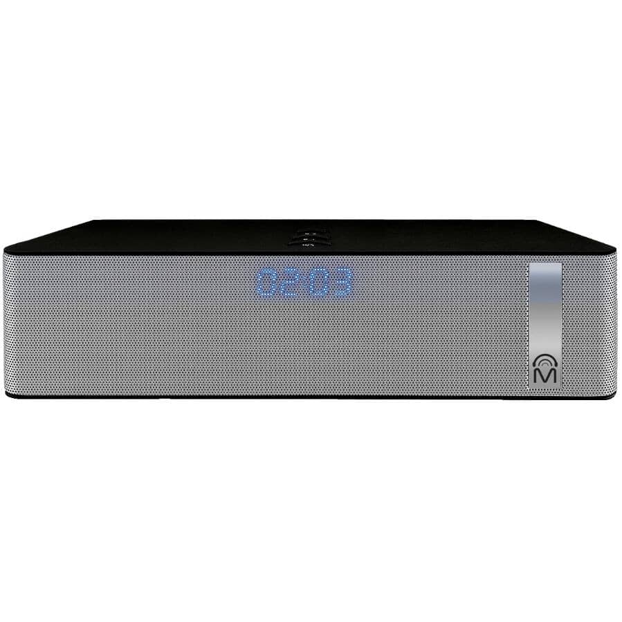 mental beats shower speaker