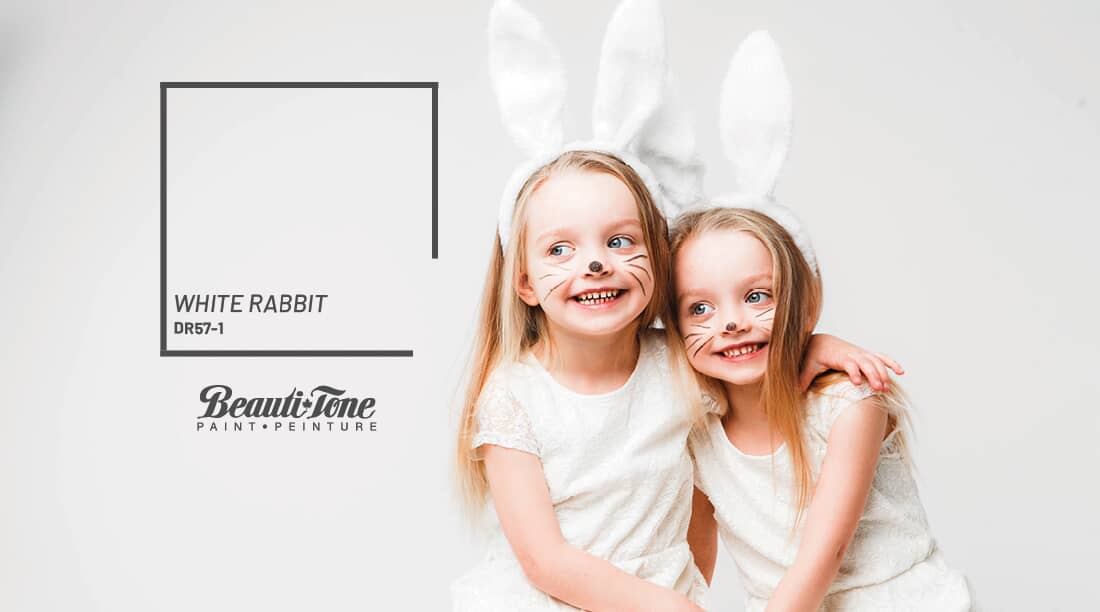 April Colour of the Month - White Rabbit