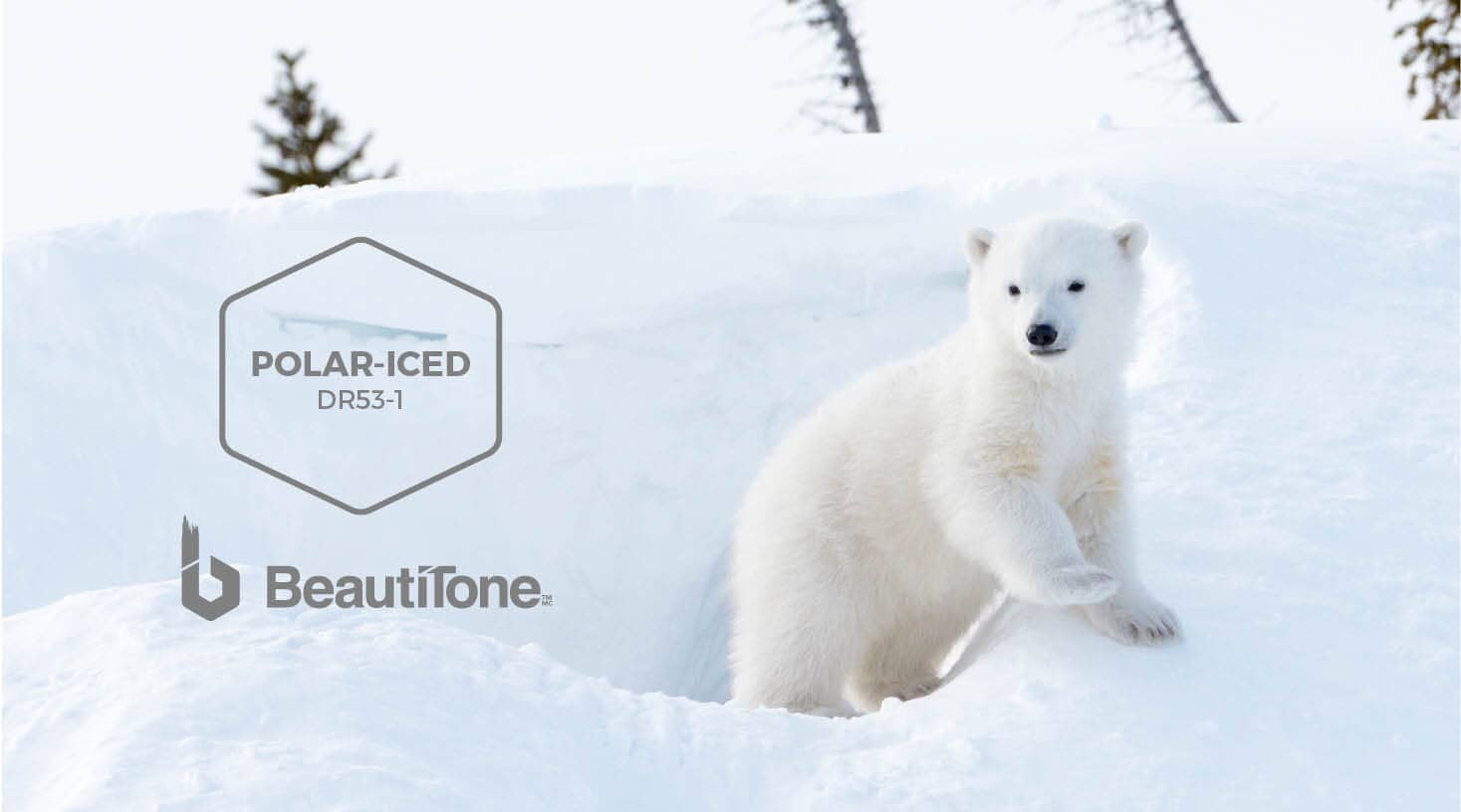 Colour of the month - Polar Iced