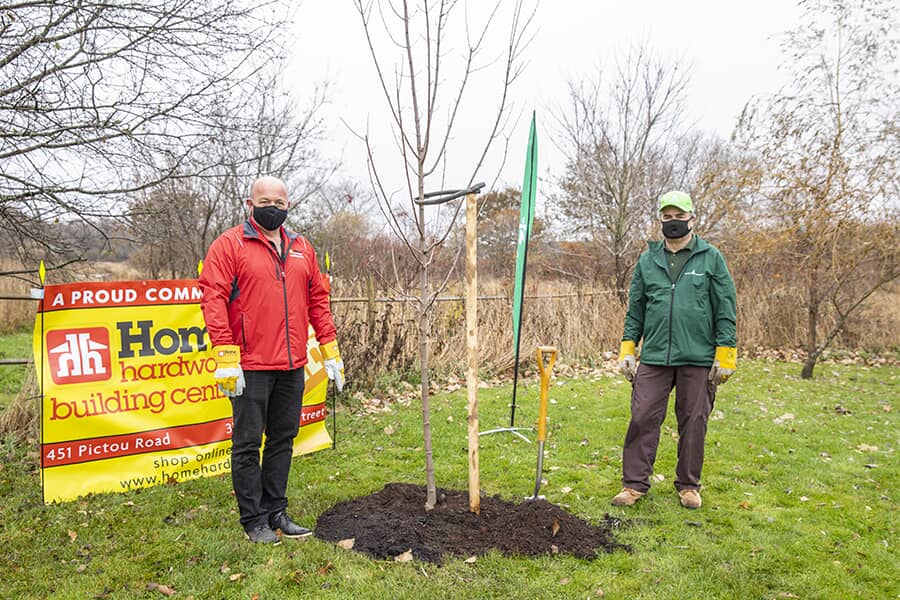 New tree planted
