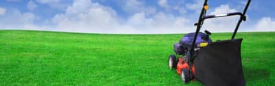 Here's How to Choose a Lawn Mower