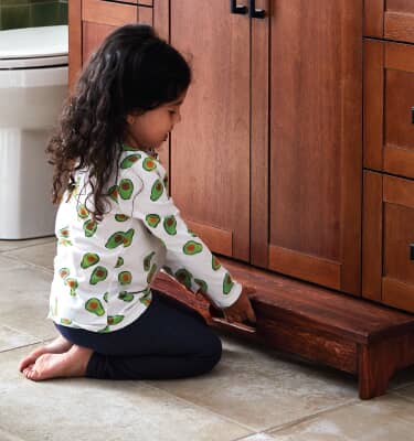 slide out step stool