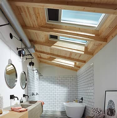 bathroom skylight