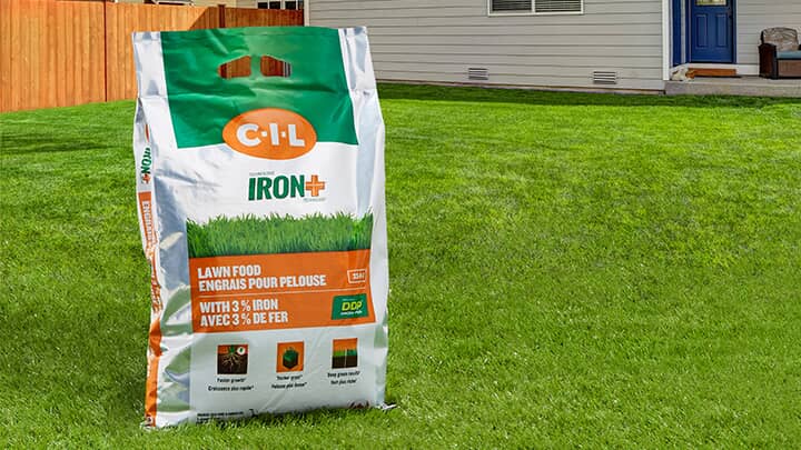 Select C-I-L Iron Plus Fertilizer & Grass Seed