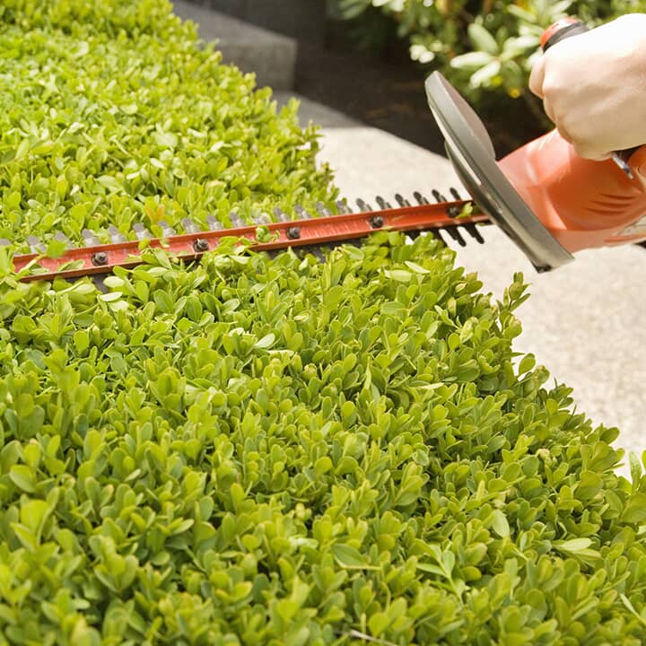 Hedge Trimmers