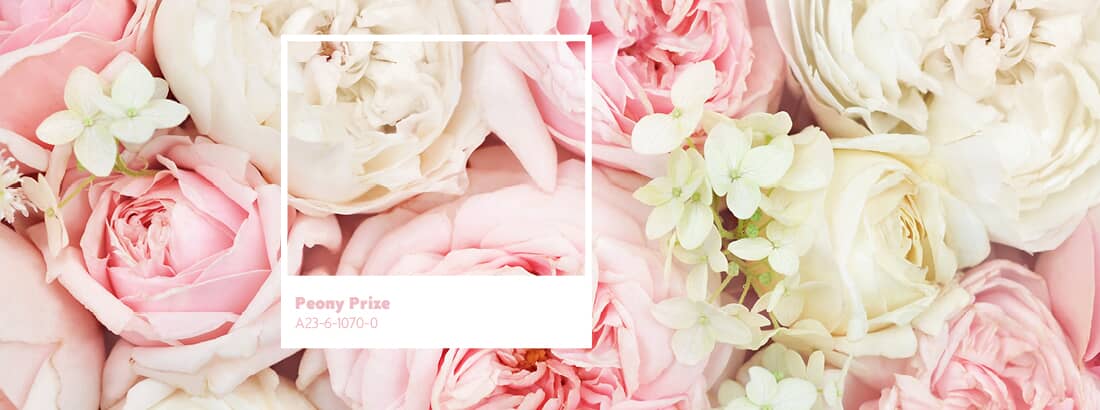May Colour of the Month - Peony Prize