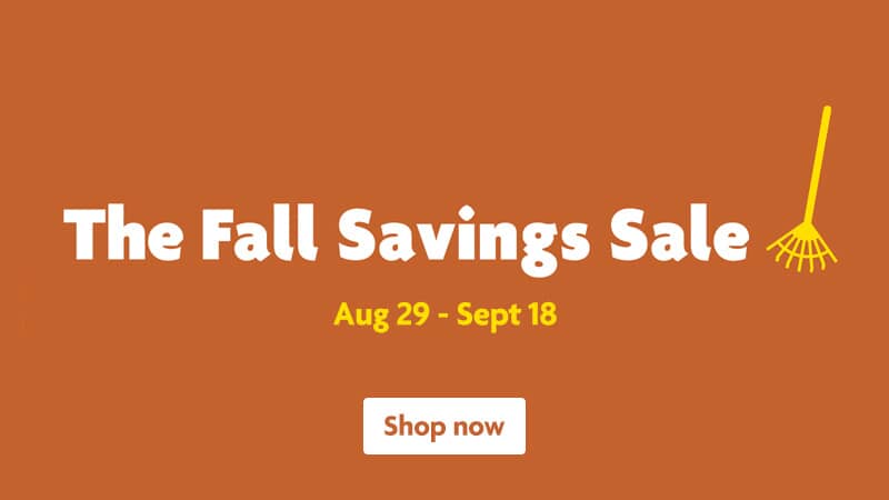 The Fall Savings Sale