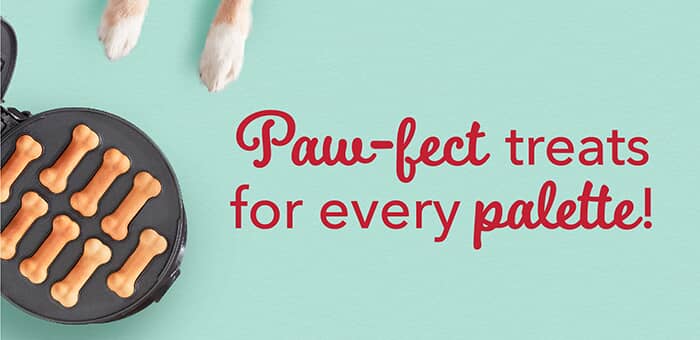 paw-fect treats for every palette!