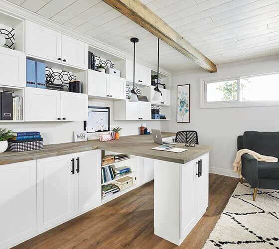 next level basement office