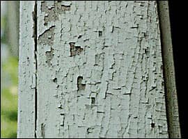 Cracking and Flaking Paint