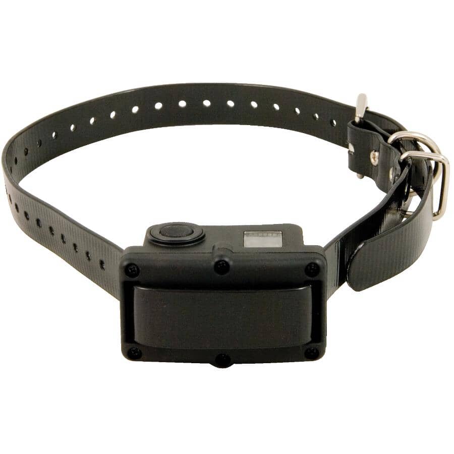sport dog collar