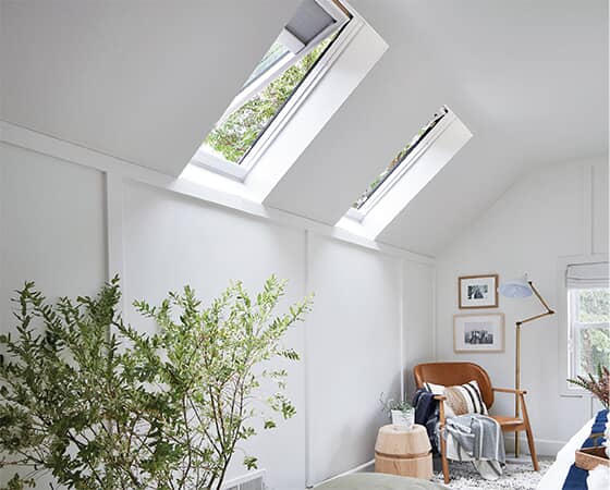 skylights