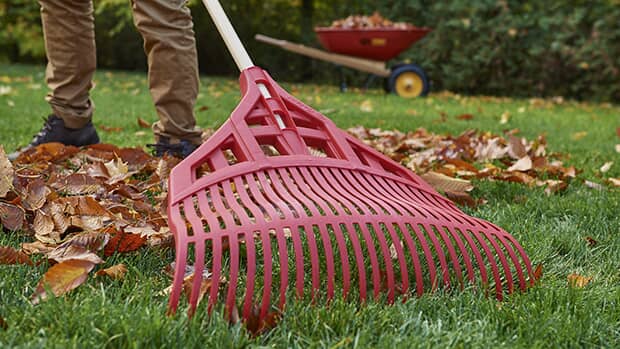 Rakes