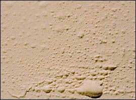 Blistering Paint