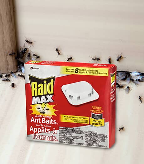 Appâts à fourmis à double action