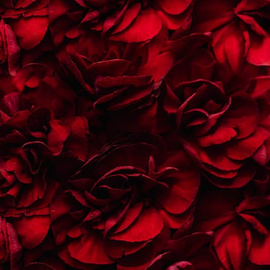 PEINDRE LA VIE EN ROUGE