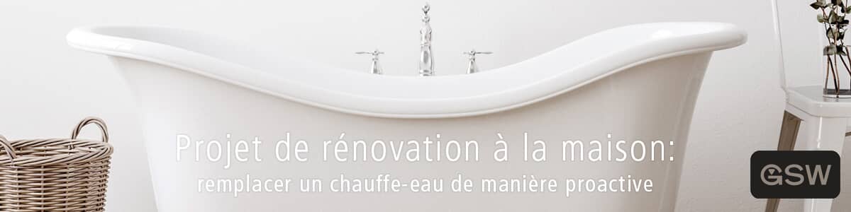 Project de renovation a la masion : remplacer un chauffe-eau de maniere proactive