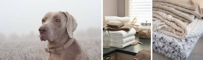 perfect-neutrals-main