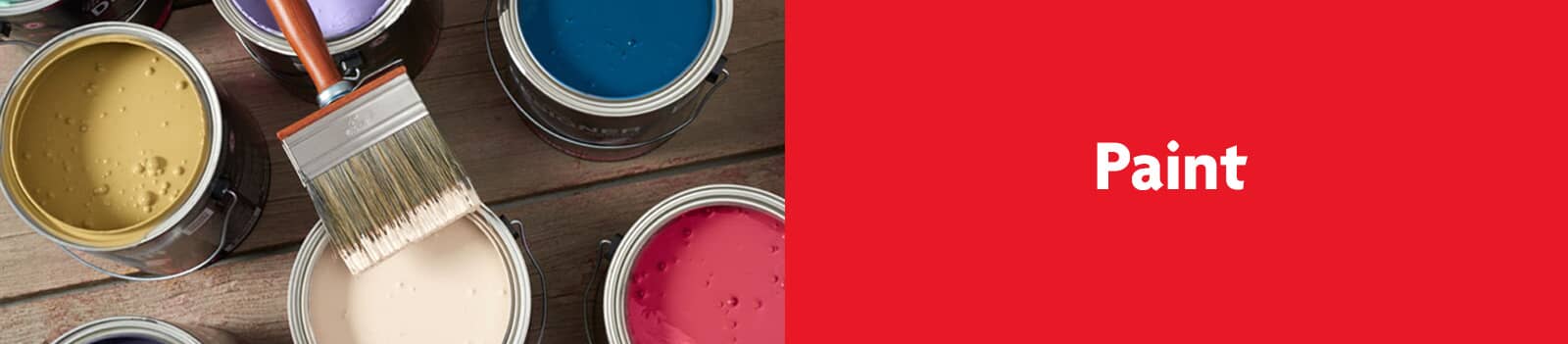 Paint