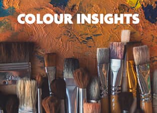 colour insights