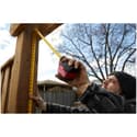 Photo thumbnail