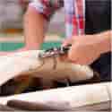 Photo thumbnail