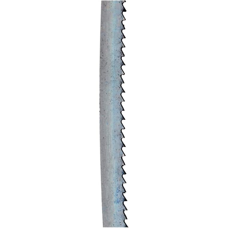 1/4" x 56-1/8" 14 Teeth Per Inch Bandsaw Blade