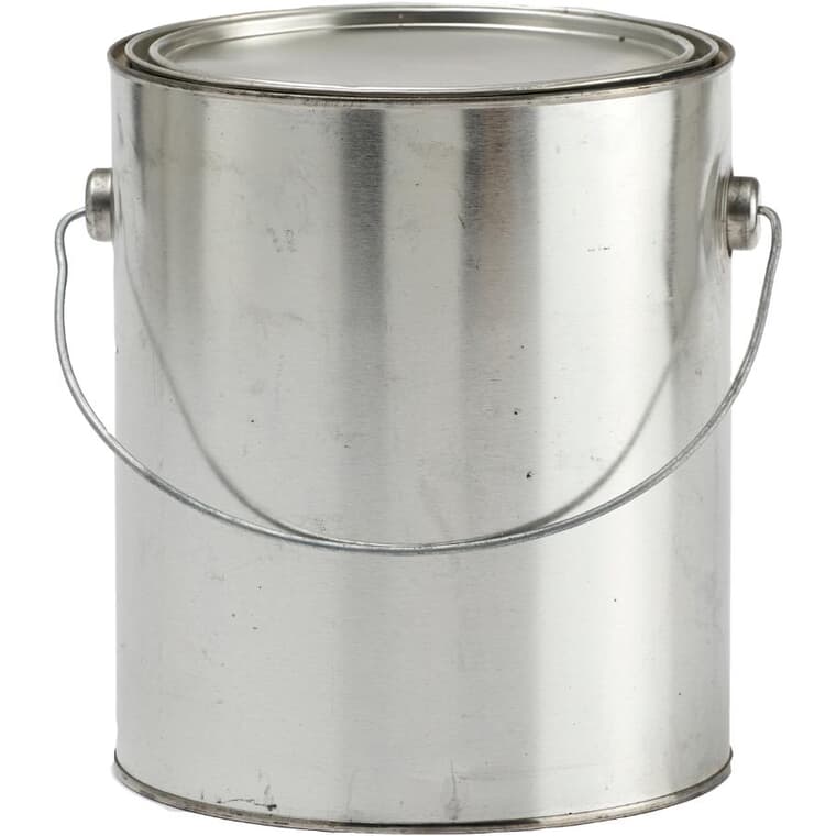Empty Paint Can - with Lid & Handle, 4 L