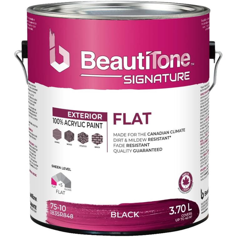 Exterior Acrylic Latex Flat Paint - Black, 3.7 L