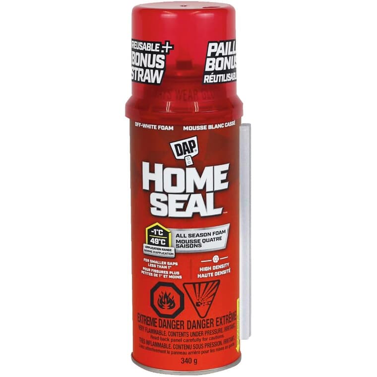 Scellant à expansion minimale Touch 'n Foam Home Seal, 340 g