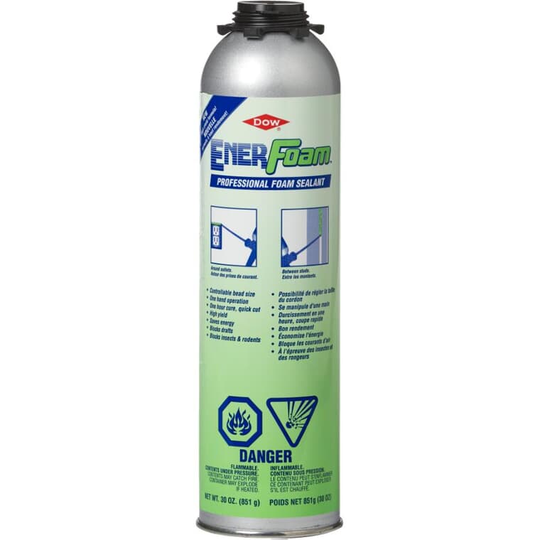 EnerFoam Professional Foam Sealant - 851 g