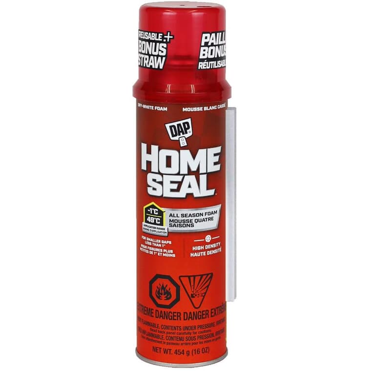 Home Seal All Season Foam Sealant - 454 g