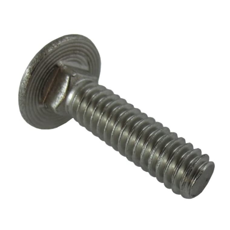 1/4" x 1" 18.8 Stainless Steel Carriage Bolt