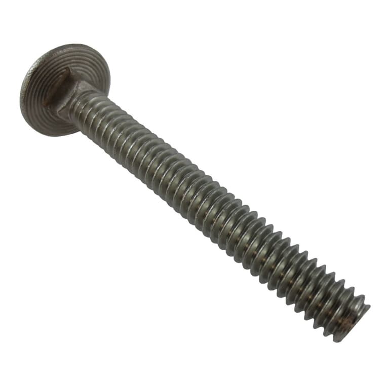1/4" x 2" 18.8 Stainless Steel Carriage Bolt
