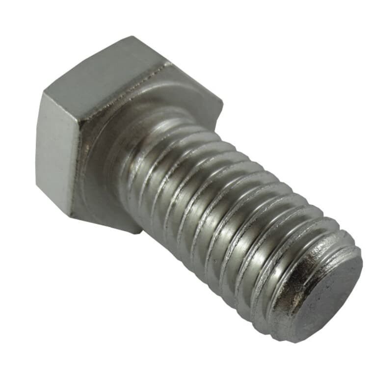 1/2" x 1" 18.8 Stainless Steel Hex Bolt