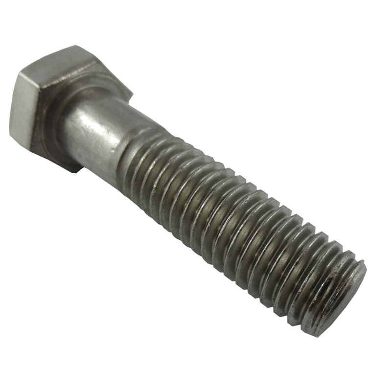 1/2" x 2" 18.8 Stainless Steel Hex Bolt