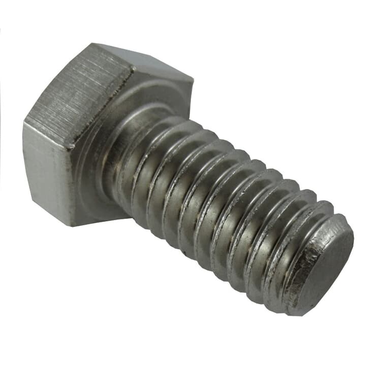 3/8" x 3/4" 18.8 Stainless Steel Hex Bolt