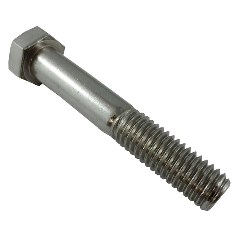 1/2" x 3" 18.8 Stainless Steel Hex Bolt