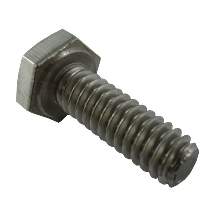 1/4" x 3/4" 18.8 Stainless Steel Hex Bolt